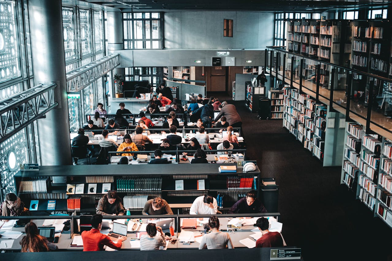 Learning loops and innovation